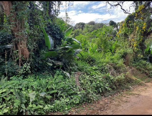 LAND FOR SALE IN LEISURE BAY